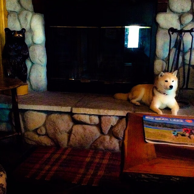 贝林厄姆爆发，喀麦隆稳稳拿下巴黎圣日耳曼