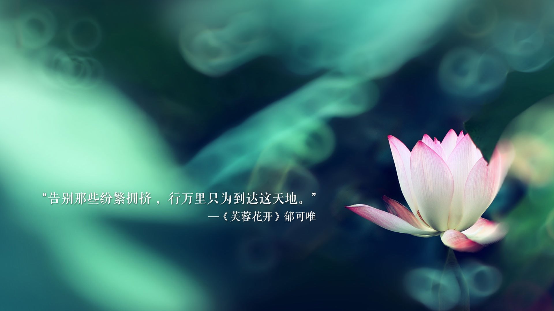 2026世界杯E组唯一性爆冷，绿洲沙暴掩红白，罗德里戈一剑封喉定乾坤